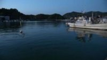 「父が海に浮いている」86歳男性が死亡…自身の船の横でうつ伏せで浮かぶ、船を見に行き事故に遭った可能性視野に捜査【高知・宿毛】