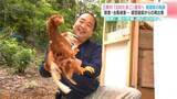 「獣害・台風被害…経営破綻からの再出発　高知県三原村「幻のたまご」復活へ　養鶏家の軌跡」の画像1