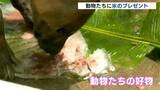 「「涼しさをもらえる」動物たちに好物詰まった特製の氷をプレゼント【高知】」の画像1