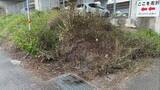 「「雑草が燃えている」通報も、消防到着時に火は消えていた⋯市街地の高架下で火事、焼け跡には熱で溶けた空き缶も　警察が出火原因を捜査【高知】」の画像1
