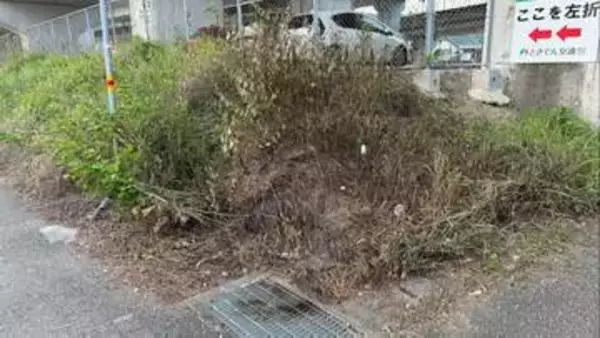 「雑草が燃えている」通報も、消防到着時に火は消えていた⋯市街地の高架下で火事、焼け跡には熱で溶けた空き缶も　警察が出火原因を捜査【高知】