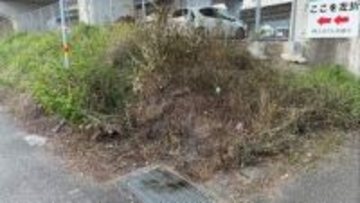 「雑草が燃えている」通報も、消防到着時に火は消えていた⋯市街地の高架下で火事、焼け跡には熱で溶けた空き缶も　警察が出火原因を捜査【高知】