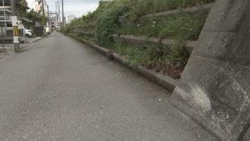 パトカーから逃走→事故起こし車を乗り捨て⋯運転の「若い男」が逃走中　信号無視・一方通行逆走を繰り返し「悪質運転」として捜査【高知】