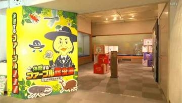 「虫の奥深い世界を知ってもらいたい」高知県立文学館で「ファーブル昆虫展」開催　ファーブルの遺品や昆虫標本などずらり