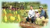 「【牧野植物園】今年のGWは1万3861人が来園、去年比+495人…最終日6日も開園前から行列、キンギョソウ・ネモフィラ…2万株の花を楽しむ」の画像1