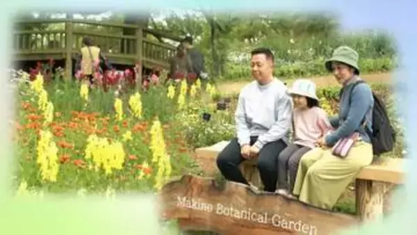 【牧野植物園】今年のGWは1万3861人が来園、去年比+495人…最終日6日も開園前から行列、キンギョソウ・ネモフィラ…2万株の花を楽しむ