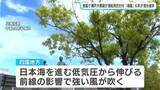「瀬戸大橋線が一時運転見合わせ　強風で特急など48本運休」の画像1