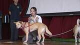 「「動物の殺処分をゼロに」元アイドル桑原みずきさんが伝える“命の重さ”　中学校で保護犬授業【高知・香美市】」の画像1