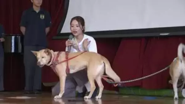「動物の殺処分をゼロに」元アイドル桑原みずきさんが伝える“命の重さ”　中学校で保護犬授業【高知・香美市】
