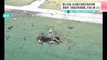 火遊びや落書きなどのマナー違反が後を絶たず⋯防災公園で続く迷惑行為、市が警察へ被害届7件提出