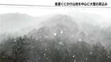 「【雪情報】今夜の高知は要注意！平地でも積雪か、交通への影響に警戒」の画像1