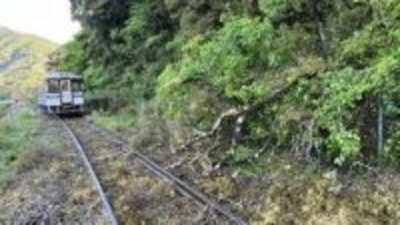 土讃線、2か所で倒木と列車が接触⋯特急「あしずり」と普通列車、けが人なしも遅れ・運休が発生【大雨の影響・高知】