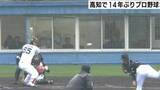 「プロ野球オープン戦14年ぶり高知で開催へ、3月7日～8日に西武vsヤクルト　12球団全てに案内を出して誘致成功「継続が大命題、なんとか成功を」」の画像1