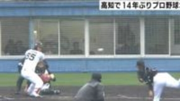 プロ野球オープン戦14年ぶり高知で開催へ、3月7日～8日に西武vsヤクルト　12球団全てに案内を出して誘致成功「継続が大命題、なんとか成功を」