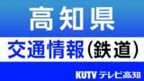 「【続報】踏切内で脱輪の車に普通列車が衝突、土讃線・伊野～西佐川で運転見合わせ　けが人なし（9日午後4時40分時点）」の画像1