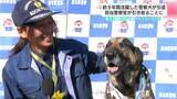 「「この子に教えてもらったことがほとんど」約９年活躍した警察犬『フィン』が引退　パートナーとして活動してきた巡査部長が引き取ることに」の画像1