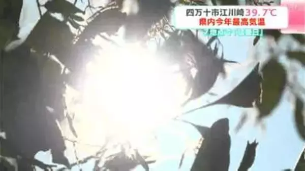「めっちゃ暑くてとけそう」高知県内各地で猛暑日に　四万十市江川崎は39.7℃　県内今年最高気温　高知市では77歳の男性が熱中症の疑いで救急搬送も