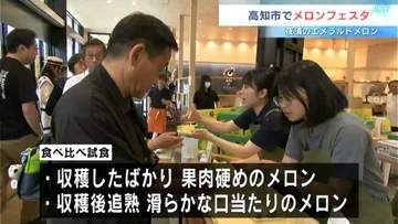 「硬め」か「追熟」どっちが好み？「夜須のエメラルドメロン」限定１００食の食べ比べ試食　メロンフェスタ開催【高知】