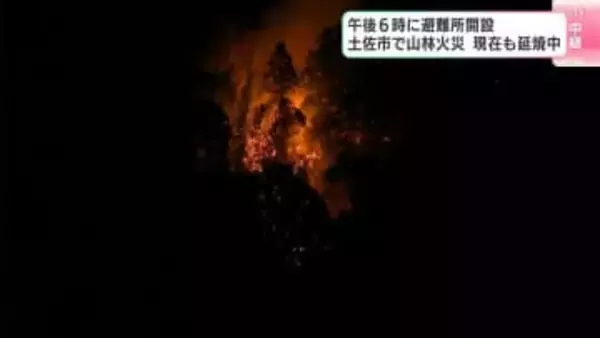 高知県土佐市で山林火災　現在も延焼中　午後6時に避難所も開設（午後6時15分時点）