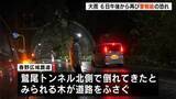 「トンネル上部から倒れてきたとみられる木が道路をふさぐ...高知県内で小康状態の雨は6日午後から再び警報級となる恐れ　台風24号×秋雨前線の影響続く【高知】」の画像1