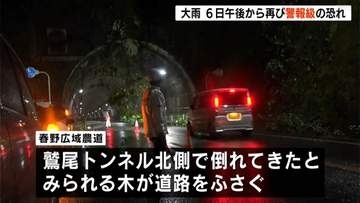 トンネル上部から倒れてきたとみられる木が道路をふさぐ...高知県内で小康状態の雨は6日午後から再び警報級となる恐れ　台風24号×秋雨前線の影響続く【高知】