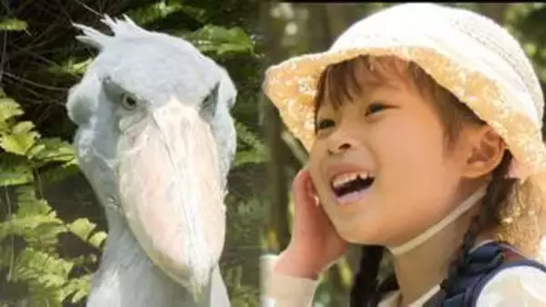 動物の“子ども”も大人気!「こどもの日」動物園は約5000人で盛況…生後4か月のシマウマ、1歳のキリン…かわいい動物たちが来園者を魅了