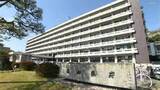 「令和８年熊本地震　高知県が４日から義援金を受付」の画像1