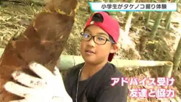 小学生がタケノコ掘り体験　2026年は「表年」