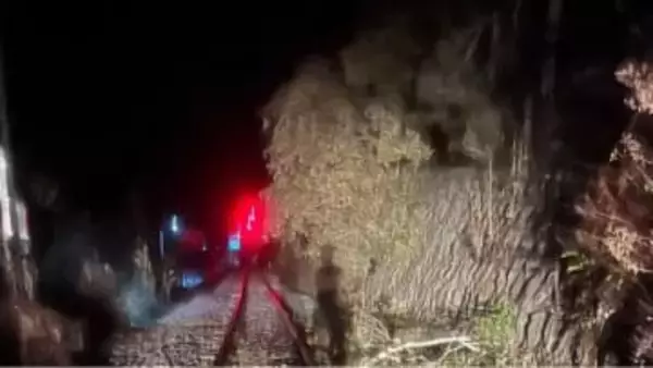 JR土讃線、運転再開　普通列車が長さ20m・直径50cmの倒木に接触、乗員1人だけ乗車でケガなし　20日～21日で特急「南風」計4本が部分運休（21日0時更新）