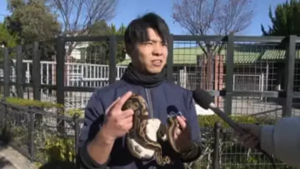 ヘビ→ウマ“干支の引き継ぎ式”「ヘビに助けられた1年⋯」　ボールパイソンから28歳のお爺ちゃんシマウマに「来年は健康維持がウマの挑戦」