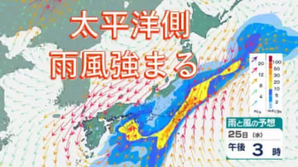 25日は太平洋側を中心に雨⋯いつどこで雨強まる？　しばらくは雨の日続く予想【雨風シミュレーション】