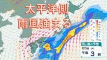 25日は太平洋側を中心に雨⋯いつどこで雨強まる？　しばらくは雨の日続く予想【雨風シミュレーション】