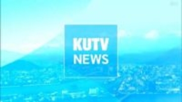 乾物卸売業者が破産手続開始決定…景気低迷や食生活の多様化で取り扱い減少、負債額は約1億8000万円（高知）