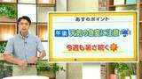 「高知の天気　21日　午後急な強い雨に注意　山岸拓気象予報士が解説」の画像1