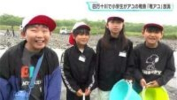 「大きく育ってほしいです」約5600匹　高知・四万十川で小学生が「稚アユ」放流