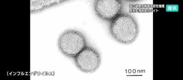 過去15年で最も早く「インフルエンザ警報」発表　直近で検出のウイルスの90.3%がA型…さらに感染拡大のおそれあり対策を【高知】
