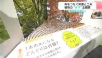 生き残る知恵と工夫　植物の“タネ”には秘密がいっぱい