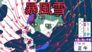 【大雪情報】11日・12日、北海道は暴風雪の恐れ　雪の降り方はどこで・いつ強まるか？
