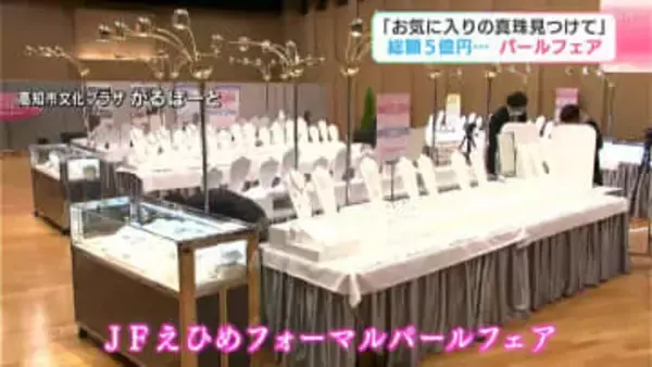 「お気に入りの真珠見つけて」総額５億円…パールフェア　高知市文化プラザかるぽーと