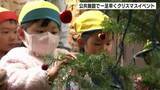 「高知市の公共施設で一足早くクリスマスイベント　園児がツリーの飾りつけ　合唱も披露」の画像1