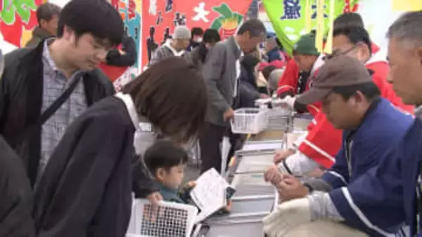 「まさに神対応」物価高でも“値段据え置き”で大トロ放出！ 高知の「年末マグロ直販」に長蛇の列