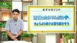 「高知の天気　４日　雲広がり雨の降るところも　山岸拓気象予報士が解説」の画像1