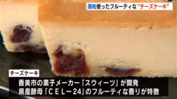 酒粕使った“チーズケーキ”先行販売…高知県産酵母「CEL-24」活用、フルーティな味わいに