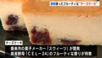酒粕使った“チーズケーキ”先行販売…高知県産酵母「CEL-24」活用、フルーティな味わいに
