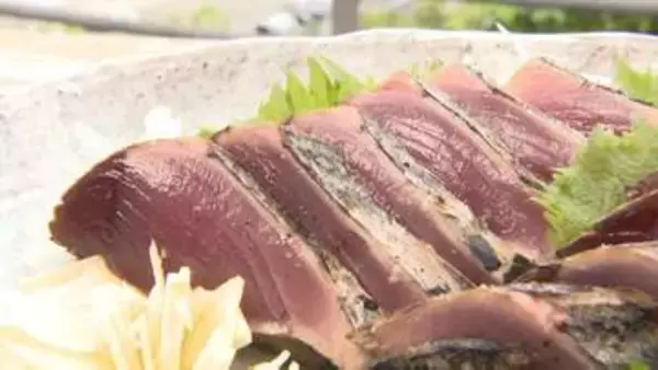２月の水温上昇で“カツオの国”高知県中土佐町が活況！もちもち食感の初ガツオが去年の倍以上の豊漁！