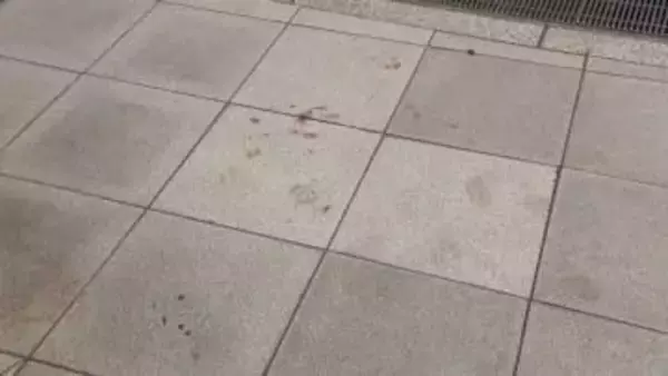 路上で暴行→財布奪った強盗傷害、検察は被告2人に「懲役6年」求刑⋯対する弁護側は1人に「執行猶予」もう1人に「無罪」主張