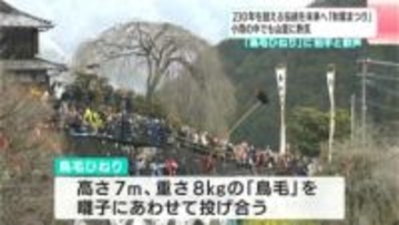 高さ7メートル、重さ8キログラムの「鳥毛」を高々と投げる鳥毛ひねりが見どころ！小雨の中でも「秋葉まつり」は熱気に包まれる【高知・仁淀川町】