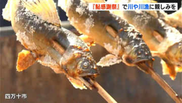 アユの塩焼きはもちろん、なんと「アユのたこ焼き」まで！？高知県四万十市で「鮎感謝祭」