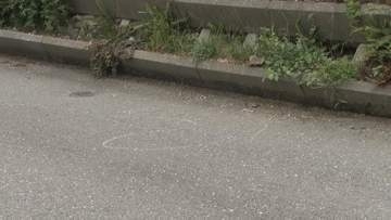 「無免許で捕まりたくなかった、草むらに隠れていた」悪質運転を繰り返し衝突事故起こして現場から逃走　出頭してきた男を逮捕【高知】