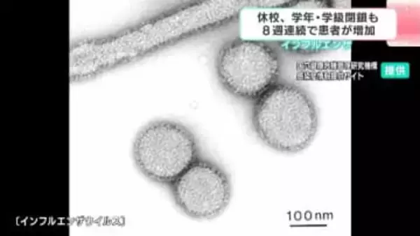 猛威を振るうインフルエンザの変異株「サブクレードK」　今年の傾向と対策は？